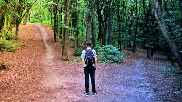 Image of Man standing in front of two paths in a forest.