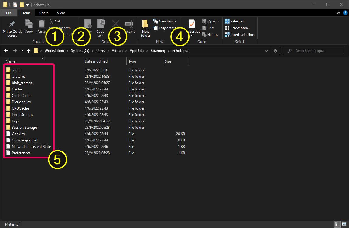 Screenshot from a file explorer showing the Echotopia application data path on Windows.